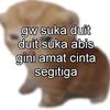 dipzzwaee