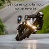 michaelrios3.7
