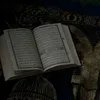 kawn3131