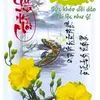 quoc.tran081