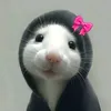phuongzynek0