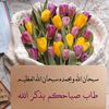 8iaiak