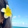 miss____096
