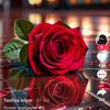 user9307751174508