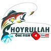 Hoyrullah One fish Cinematic