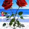 user5021753302776