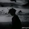 solomoon005