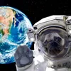 nasathepug