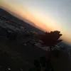 warvin.haji7