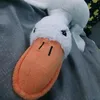 kadyy65
