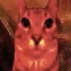 acidcyl