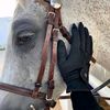 shaimaaahmed6918