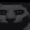 wyt600