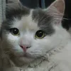 sh3lly222