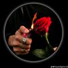 user5123462007384