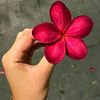 nil.akasher.tara9522