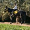 user6861933960619
