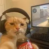 username743809