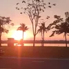ericluis443