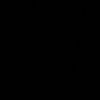 rz.rz569