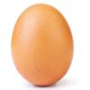 egg.eggs58