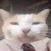 fracassado_071
