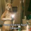 oswaldito_uwu2