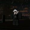 robico_robie
