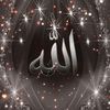 user8329047952768