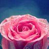 jumana1262