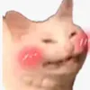 ghailleghavinn.sa