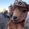 queenaisha456