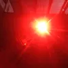 rednike66