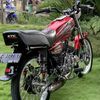 ringgo290398