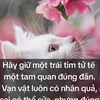 user7367688241530