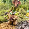ngoan.tin.ch86