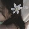im.michaa4