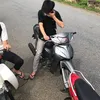 dochinh233