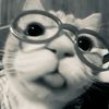 raiii_raraaa