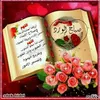 user19231037469