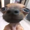 user521312811101