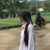 bao06436