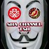 shachannel3tsh