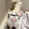 mun.s.au