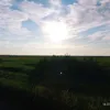 tapok111_
