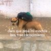999_inalcanzable