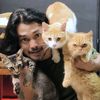 qin_and_smartcat