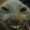 congaimemay31