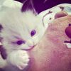 byymell.16