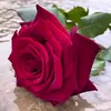 user1038670132331